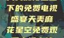 天美麻花星空下的免费电视盛宴天美麻花星空免费观看电视青柠