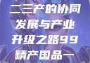 探索中国产业新面貌，一二三产的协同发展与产业升级之路99精产国品一二三产区区观看