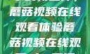 观看NBA赛事的新选择，蘑菇视频在线观看体验蘑菇视频在线观看nba直播免费