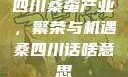 四川桑蚕产业，繁荣与机遇桑四川话啥意思