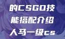 暴躁老阿姨的CSGO技能搭配介绍人马一级csgo交易网站