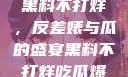揭秘娱乐圈，黑料不打烊，反差婊与瓜的盛宴黑料不打烊吃瓜爆料反差婊下载