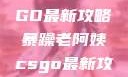 暴躁老阿姨教你玩转CSGO最新攻略暴躁老阿姨csgo最新攻略 适合五十岁阿姨