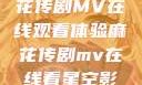 星空下的麻花传剧MV在线观看体验麻花传剧mv在线看星空影视评价