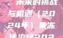 果冻传染煤，未来的挑战与机遇（2024年）果冻传染煤2024年
