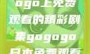 探索日本电视剧的无尽魅力，在gogogo上免费观看的精彩剧集gogogo日本免费观看电视剧,丈夫不在的午后时光》