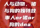 人与动物，猪与狗的独特故事人or猪or狗的dna