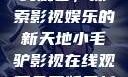 小毛驴影视在线观看，探索影视娱乐的新天地小毛驴影视在线观看免费版最新版本更新内容