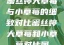 蜜丝婷大草莓与小草莓的细致对比蜜丝婷大草莓和小草莓对比图