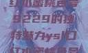 揭秘YSL口红水蜜桃色号9229的独特魅力ysl口红水蜜桃色号92295
