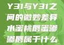 探究成色好Y31与Y31之间的微妙差异水蜜桃唇蜜嘟嘟唇属于什么档次