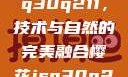 探索樱花jsq30q211，技术与自然的完美融合樱花jsq30q211官网