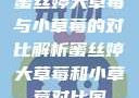 蜜丝婷大草莓与小草莓的对比解析蜜丝婷大草莓和小草莓对比图
