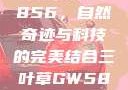 三叶草GW5856，自然奇迹与科技的完美结合三叶草GW5856
