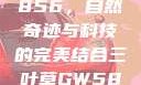 三叶草GW5856，自然奇迹与科技的完美结合三叶草GW5856