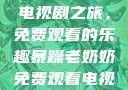暴躁老奶奶的电视剧之旅，免费观看的乐趣暴躁老奶奶免费观看电视剧完整版