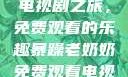 暴躁老奶奶的电视剧之旅，免费观看的乐趣暴躁老奶奶免费观看电视剧完整版