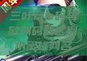 三叶草m码与欧洲码的区别水蜜桃网名