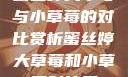 蜜丝婷大草莓与小草莓的对比赏析蜜丝婷大草莓和小草莓对比图