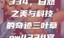 三叶草GW4334，自然之美与科技的奇迹三叶草gw4334官网