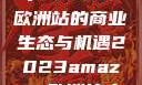 揭秘2023年Amazon欧洲站的商业生态与机遇2023amazon欧洲站大长颈