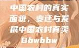 中国农村的真实面貌，变迁与发展中国农村真卖Bbwbbw