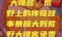 暴躁大妈荒野大镖客，荒野上的传奇故事暴躁大妈荒野大镖客免费观看