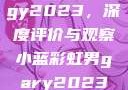 宏翔小蓝视频gy2023，深度评价与观察小蓝彩虹男gary2023的音乐作品