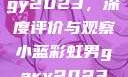宏翔小蓝视频gy2023，深度评价与观察小蓝彩虹男gary2023的音乐作品