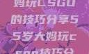 一位55岁大妈玩CSGO的技巧分享55岁大妈玩csgo技巧分享动画片