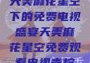 天美麻花星空下的免费电视盛宴天美麻花星空免费观看电视青柠