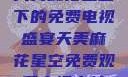 天美麻花星空下的免费电视盛宴天美麻花星空免费观看电视青柠