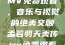孟若羽天美传MV免费观看，音乐与视觉的绝美交融孟若羽天美传mv免费观看在线观看