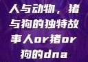 人与动物，猪与狗的独特故事人or猪or狗的dna