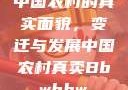 中国农村的真实面貌，变迁与发展中国农村真卖Bbwbbw
