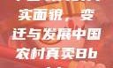 中国农村的真实面貌，变迁与发展中国农村真卖Bbwbbw