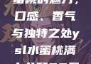 探索YSL水蜜桃的魅力，口感、香气与独特之处ysl水蜜桃满十八和88区别