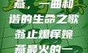 翁止熄痒婉燕，一曲和谐的生命之歌翁止熄痒婉燕最火的一句