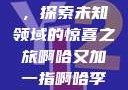啊哈又加一指，探索未知领域的惊喜之旅啊哈又加一指啊哈李白韩信