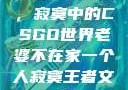 当老婆不在家，寂寞中的CSGO世界老婆不在家一个人寂寞王者文案