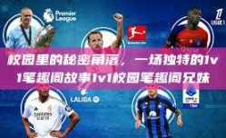 校园里的秘密角落，一场独特的1v1笔趣阁故事1v1校园笔趣阁兄妹