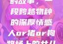 人与猪狗共生的故事，一段跨越物种的深厚情感人or猪or狗牧场上的女儿们