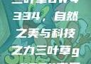 三叶草GW4334，自然之美与科技之力三叶草gw4334官网