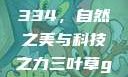 三叶草GW4334，自然之美与科技之力三叶草gw4334官网