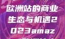 揭秘2023年Amazon欧洲站的商业生态与机遇2023amazon欧洲站大长颈