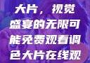 免费观看调色大片，视觉盛宴的无限可能免费观看调色大片在线观看