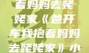 爸开车我抱着妈妈去姥姥家《爸开车我抱着妈妈去姥姥家》小说