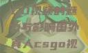国外真人CSGO视频的魅力与影响国外真人csgo视频播放