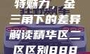 探索精华区与二区的独特魅力，金三角下的差异解读精华区二区区别88888金三角百度