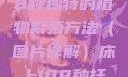 床上扦插的奥秘，探索108种独特的植物繁殖方法（图片详解）床上108种扦插方法图片大全